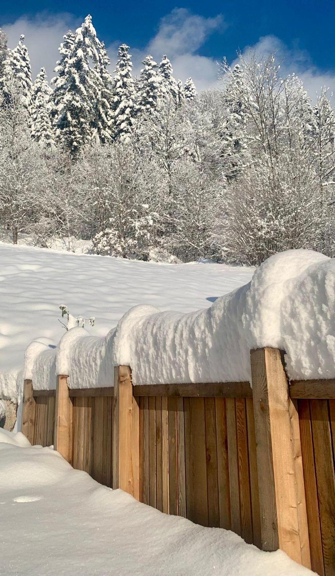 Appartement Naturbunt Söll Zewnętrze zdjęcie